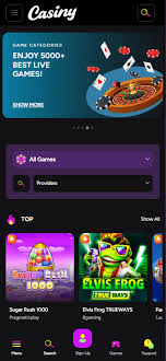 Booongo Provider AU A Deep Dive into Innovative Gaming Solutions