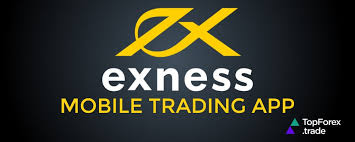 Exness Educational Resources Unlocking Your Trading Potential Exness Educational Resources Unlocking Your Trading Potential