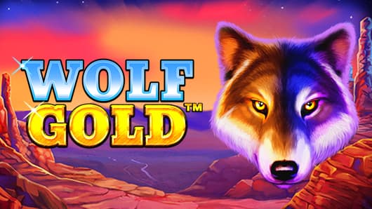 신의 세계에 빠져드는 경험 wolf gold casino