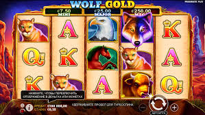 wolf gold free spins no - 완벽한 슬롯 게임 경험
